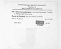 Image Associated With the Occurence